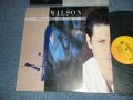 BRIAN WILSON of THE BEACH BOYS - BRIAN WILSON  (With CUSTOM INNER) (Ex++/MINT-) / 1988 US AMERICA ORIGINAL Used LP