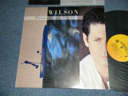 画像1: BRIAN WILSON of THE BEACH BOYS - BRIAN WILSON  (With CUSTOM INNER) (Ex++/MINT-) / 1988 US AMERICA ORIGINAL Used LP