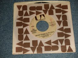 画像1: THE VENTURES - A) SKYLAB ( Passport To The Future)   B)LITTLE PEOPLE (MINT-/MINT- ) / 1973 US AMERICA ORIGINAL Used 7" SINGLE