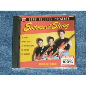 画像: VA - SULTANS OF STRING GUITAR GALLERY VOL.1 / 2000 HOLLAND Brand New CD CD