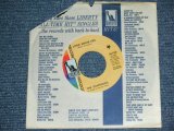 画像: THE SHANNONS ( PRODUCED  by MEL TAYLOR of The VENTURES ) - LITTLE WHITE LIE ( SMALL SIZE THIN TITLE LOGO : MINT-/MINT- ) / 1968 US ORIGINAL Audition Label Promo 7"SINGLE