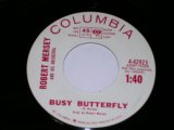 画像: ROBERT MERSEY - BUSY BUTTERFLY  / 1960s US  ORIGINAL White Label Promo 7"Single