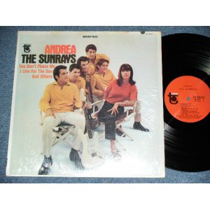 画像: The SUNRAYS - ANDREA  ( STEREO :  Ex++/MINT-, BB Hole ) / 1966 US ORIGINAL STEREO  LP