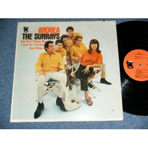 画像: The SUNRAYS - ANDREA  ( MONO : T1-5017-D1/T2-5017-D1 Hand Writings Ex/Ex+,Ex- ) / 1966 US ORIGINAL MONO  LP