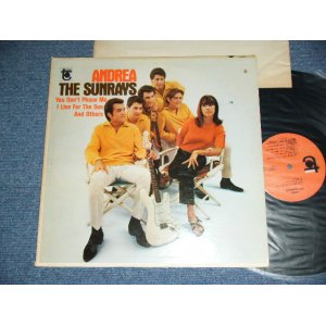 画像: The SUNRAYS - ANDREA  ( MONO : T1-5017-D1/T2-5017-D1 Hand Writings Ex+/Ex+++ ) / 1966 US ORIGINAL MONO  LP