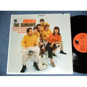 画像: The SUNRAYS - ANDREA  ( STEREO :  MINT-/MINT- ,BB Hole) / 1966 US ORIGINAL STEREO  LP