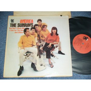 画像: The SUNRAYS - ANDREA  ( MONO : T1-5017-F1/T2-5017-F1  Ex/Ex+++ ) / 1966 US ORIGINAL MONO  LP