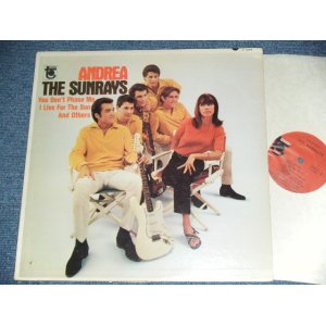 画像: The SUNRAYS - ANDREA  ( MONO : T1-5017-G2/T2-5017-F1  Ex+/MINT-, BB Hole ) / 1966 US ORIGINAL MONO  LP