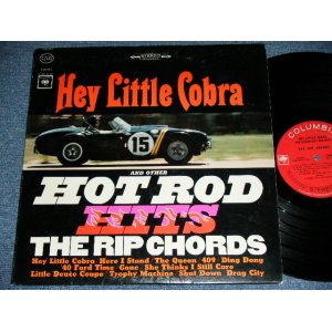 画像: THE RIP CHORDS - HEY LITTLE COBRA  ( Matrix # 1D/1E) (Ex+/Ex+++)/ 1964 US AMERICA ORIGINAL 2nd Press "360 Sound Label" STEREO Used LP