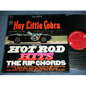 画像: THE RIP CHORDS - HEY LITTLE COBRA  ( Matrix # 1D/1E)(Ex/Ex+,Ex+++)  /1964 US AMERICA ORIGINAL 2nd Press "360 Sound Label" STEREO Used LP