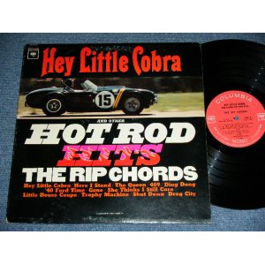 画像: THE RIP CHORDS - HEY LITTLE COBRA  (Matrix # 1E/1K)(Ex+/Ex+++) / 1964 US AMERICA ORIGINAL 2nd Press "360 Sound Label" MONO Used LP 