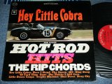 画像: THE RIP CHORDS - HEY LITTLE COBRA  ( Matrix # 1A/1B)(Ex++,Ex+/MINT-) / 1964 US AMERICA ORIGINAL 2nd Press "360 Sound Label" STEREO Used LP