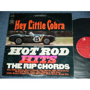 画像: THE RIP CHORDS - HEY LITTLE COBRA  ( Matrix # 1A/1B) (VG+++/.Ex++)  / 1964 US AMERICA ORIGINAL 2nd Press "360 Sound Label" STEREO Used LP