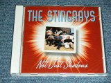 画像: THE STINGRAYS - NOT JUST SHADOWS / 2002 HOLLAND ORIGINAL Used CD 