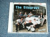 画像: THE STINGRAYS - FIFTY-FIFTY / 2002 HOLLAND ORIGINAL Used CD 