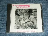 画像: ANGELO SANTORO - PSYCHEDELIC SURF ( SURF GARAGE INST ) / 1988 WEST-GERMANY  ORIGINAL BRAND NEW SEALED CD 