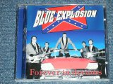 画像: BLUE EXPLOSION -  FOREVER IN DREAMS  ( 5 Songs INST. 20 Songs With Vocal  : EUROPEAN STYLE INST  .) / 1994 HOLLAND ORIGINAL Used CD 