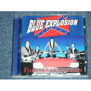 画像: BLUE EXPLOSION -  FOREVER IN DREAMS  ( 5 Songs INST. 20 Songs With Vocal  : EUROPEAN STYLE INST  .) / 1994 HOLLAND ORIGINAL Used CD 