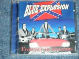 画像: BLUE EXPLOSION -  FOREVER IN DREAMS  ( 5 Songs INST. 20 Songs With Vocal  : EUROPEAN STYLE INST  .) / 1994 HOLLAND ORIGINAL "BRAND NEW SEALED" CD 