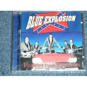 画像: BLUE EXPLOSION -  FOREVER IN DREAMS  ( 5 Songs INST. 20 Songs With Vocal  : EUROPEAN STYLE INST  .) / 1994 HOLLAND ORIGINAL "BRAND NEW SEALED" CD 