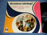 画像: THE VENTURES - WILD THINGS  ( Ex++/Ex+++ ) / 1966? HOLLAND ORIGINAL STEREO Used   LP