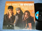 画像: THE VENTURES - WILD THINGS ( Matrix # A)BST-8047-1 SIDE 1 / B)BST8047 SIDE-2 1   ; "D" Mark Label:: Ex++/Ex++ Looks:Ex+ ) / 1966 Version US AMERICA  ORIGINAL STEREO Used   LP