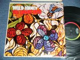 画像: THE BEACH BOYS -  WILD HONEY ( Matrix #  A) T-1-2859-F-1 /B) T-2-2859-F-1 ) (Ex+/Ex++ Looks:MINT- BB ) / 1967 US AMERICA ORIGINAL Mono Used LP