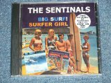 画像: THE SENTINALS - BIG SURF +SURFER GIRL : 2 in 1 (SEALED) / 2004 US AMERICA "BRAND NEW SEALED"  CD