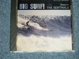 画像: THE SENTINALS - BIG SURF (MINT-/MINT)  / 1994 US AMERICA Used CD 