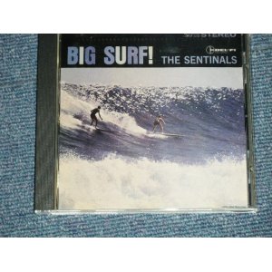 画像: THE SENTINALS - BIG SURF (MINT-/MINT)  / 1994 US AMERICA Used CD 