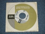 画像: SANDY NELSON -  CASTLE ROCK : YOU DON'T SAY  ( Ex+++/Ex+++ )  /  1964 US AMERICA ORIGINAL "WHITE LABEL PROMO" Used 7" Single 