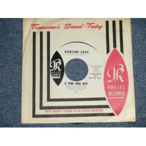 画像: DARLENE LOVE - A) A FINE FINE BOY  B) NINO AND SONNY (MINT/MINT-) / 1963 US AMERICA  ORIGINAL "WHITE LABEL PROMO" Used 7" SINGLE 