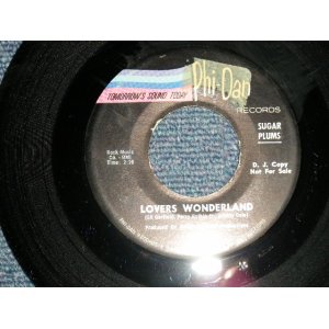 画像: SUGAR PLUMS - A) LOVERS WONDERLAND  B) SUGAR PLUM BLUES (MINT-/MINT-)  /  1966 US AMERICA ORIGINAL Used 7" SINGLE 