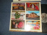 画像: The BEACH BOYS - L.A. (LIGHT ALBUM) : With CUSTOM INNER SLEEVE (Matrix #A) PAL-35752 1AA AZ B) PBL-35752 1C AZ) (MINT/MINT) / 1979 US AMERICA ORIGINAL Used LP