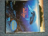 画像: THE BEACH BOYS - SUMMER IN PARADISE (SEALED) / 1992 US AMERICA  "Brand New Sealed" CD 