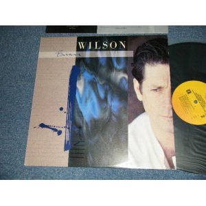 画像: BRIAN WILSON of THE BEACH BOYS - BRIAN WILSON  (With CUSTOM INNER) (Ex++/MINT-) / 1988 US AMERICA ORIGINAL Used LP