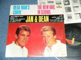 画像: JAN & DEAN - THE NEW GIRL IN SCHOOL / DEAD MAN'S CURVE "COLOR Cover " ( MINT-/MINT- )  / 1964 US ORIGINAL MONO LP 