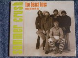 画像: THE BEACH BOYS - SUMMER CRUSH  songs we love to love / 2001 US  Used CD