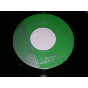 画像: SHANE ( BOB BOGLE of THE VENTURES ) -'TIL I FOUND YOU  / 1964? US ORIGINAL Mint- 7"Single