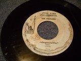 画像: THE VENTURES - SPECIAL ALBUM SPOT COMMERCIAL "UNDERGROUND FIRE"/ 1969 US PROMO ONLY 7"SINGLE