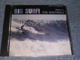 画像: THE SENTINALS - BIG SURF  / 1994 US Brand New SEALED  CD 