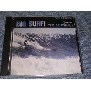 画像: THE SENTINALS - BIG SURF  / 1994 US Brand New SEALED  CD 