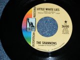 画像: THE SHANNONS ( PRODUCED  by MEL TAYLOR of The VENTURES ) - LITTLE WHITE LIE ( BIG SIZE TITLE LOGO : MINT-/MINT- ) / 1968 US ORIGINAL Audition Label Promo 7"SINGLE