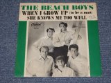 画像: THE BEACH BOYS - WHEN I GROW UP( GREEN BORDER Cover )  /  1964 US  Original Ex+/Ex+  7"Single With Picture Sleeve  