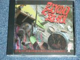 画像: v.a. OMNIBUS - BEYOND THE BEACH  / 1994 US ORIGINAL Brand New CD